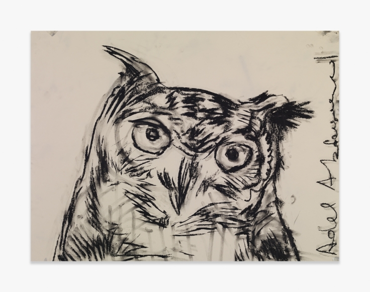 Adel Abdessemed Owl, 2015